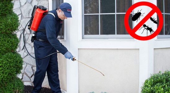 Atkaracalar Dezenfeksiyon böcek ilaçlama ve haşere kontrolü — ilaclama-tr.com